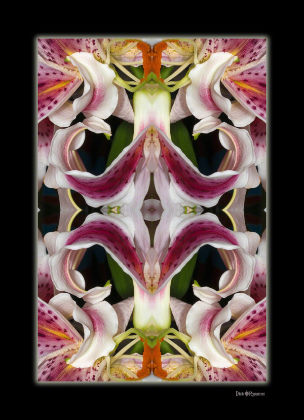 Regal Lilies