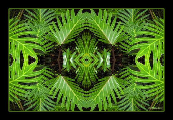 Tribal