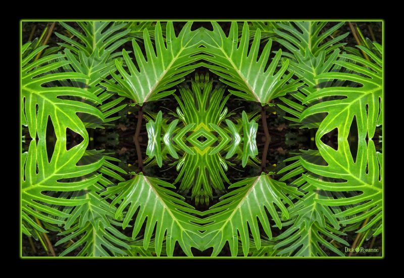 Tribal