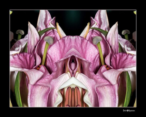 Deco Lily