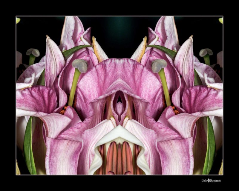 Deco Lily