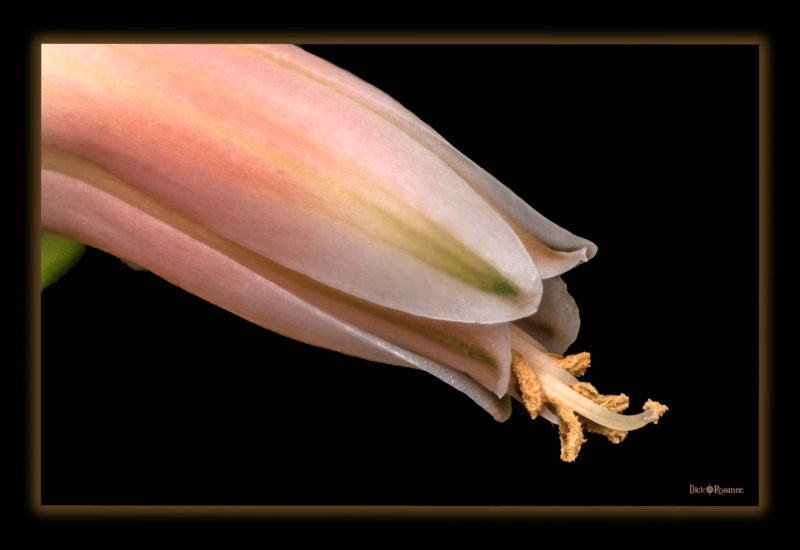 Reaching