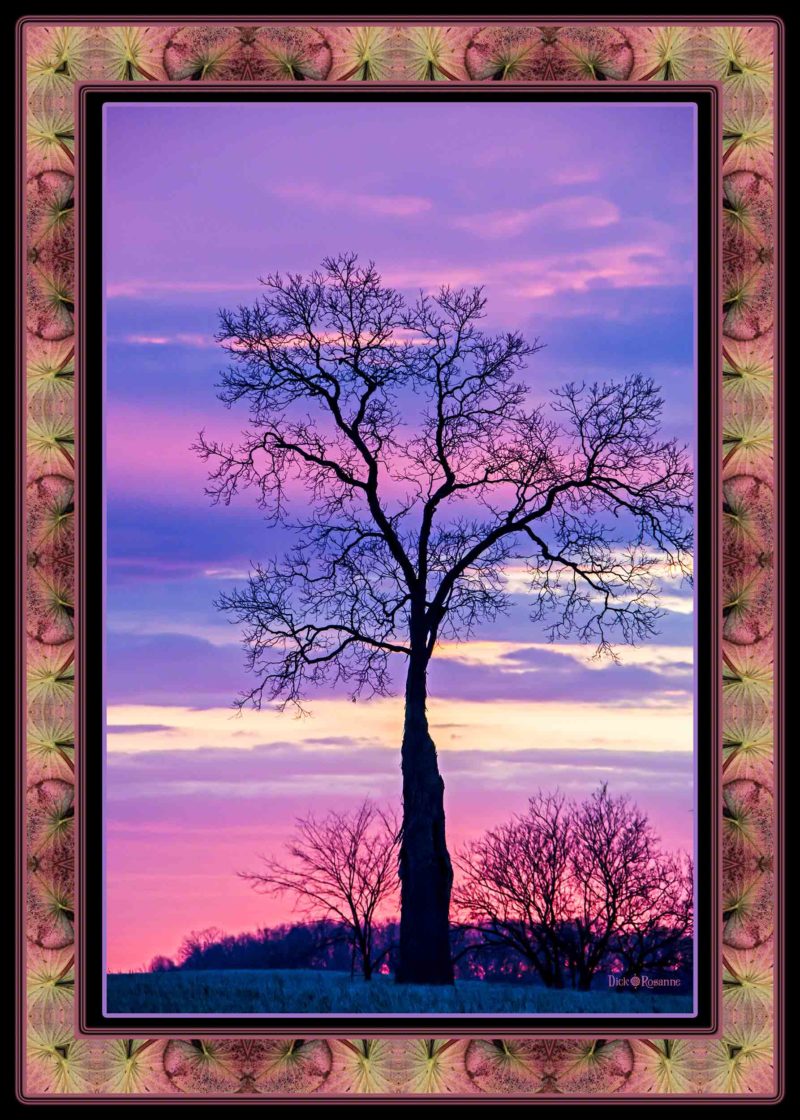 Field Tree