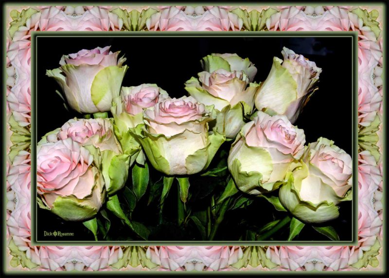 Heavenly Roses