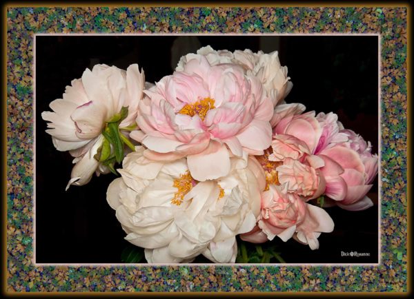 Peony Bouquet