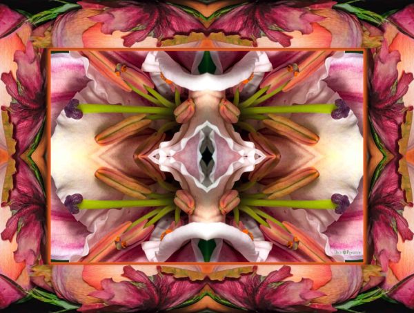 Lilies and Roses