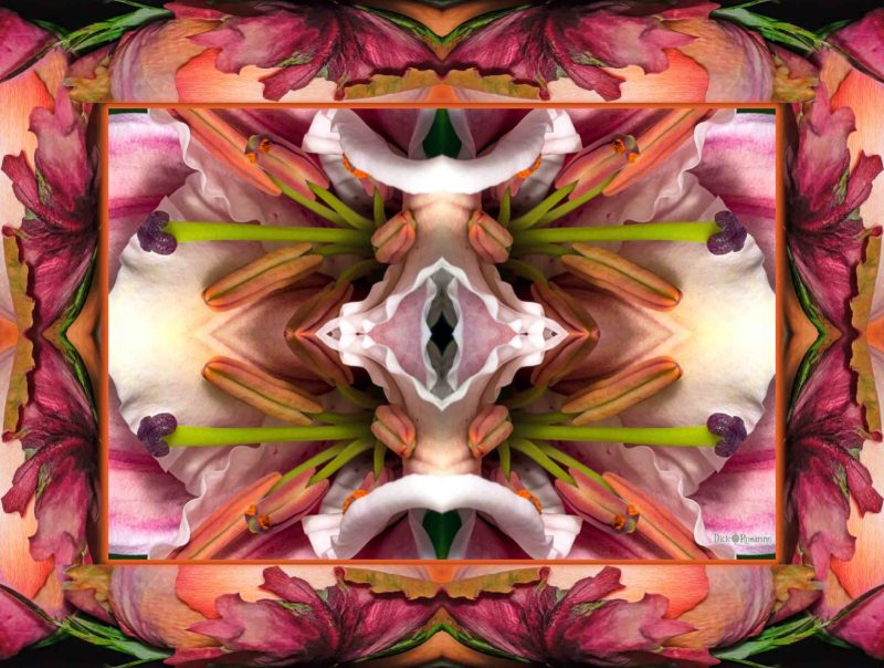 Lilies and Roses