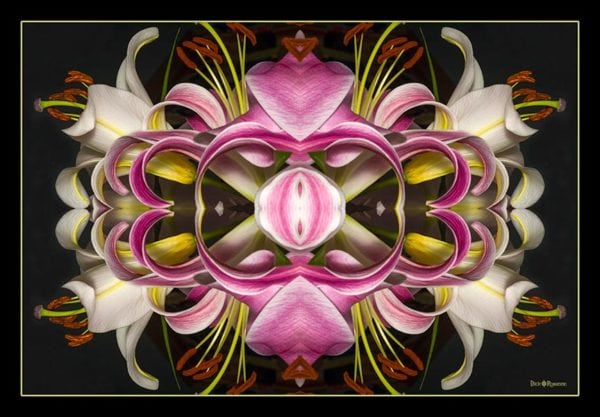 Hearts and Lilies Mandala