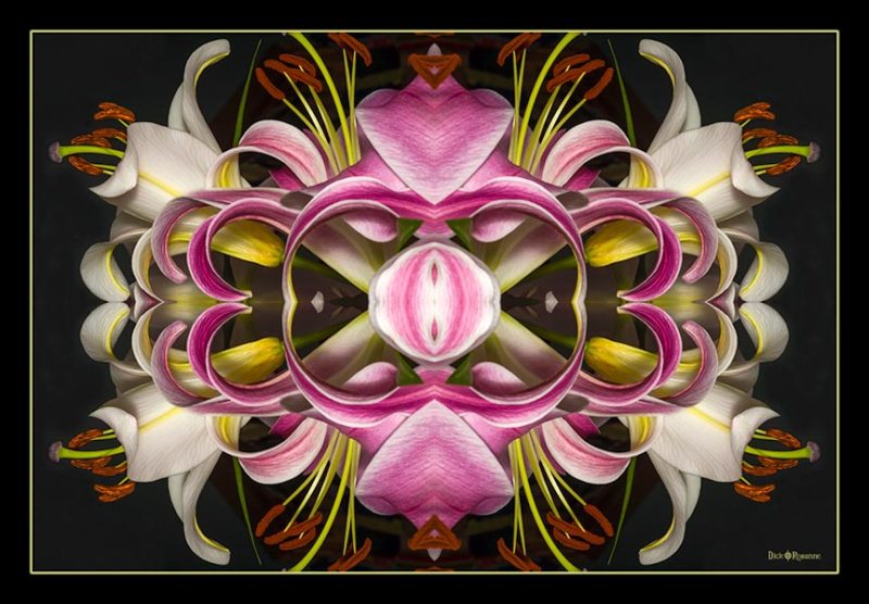 Hearts and Lilies Mandala
