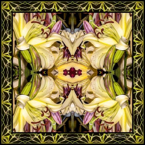 Art Nouveau Lily Square Series #1