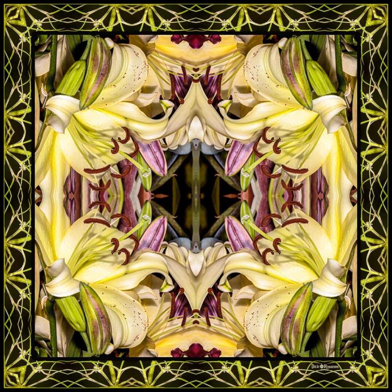 Art Nouveau Lily Square Series #2