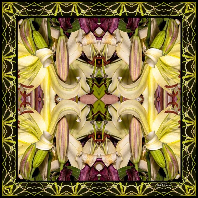 Art Nouveau Lily Square Series #3