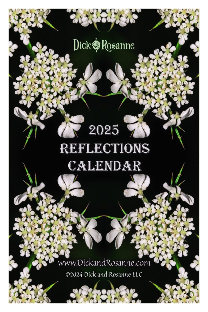 2025 Reflections Calendar