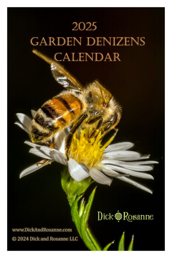 2025 Garden Denizens Calendar