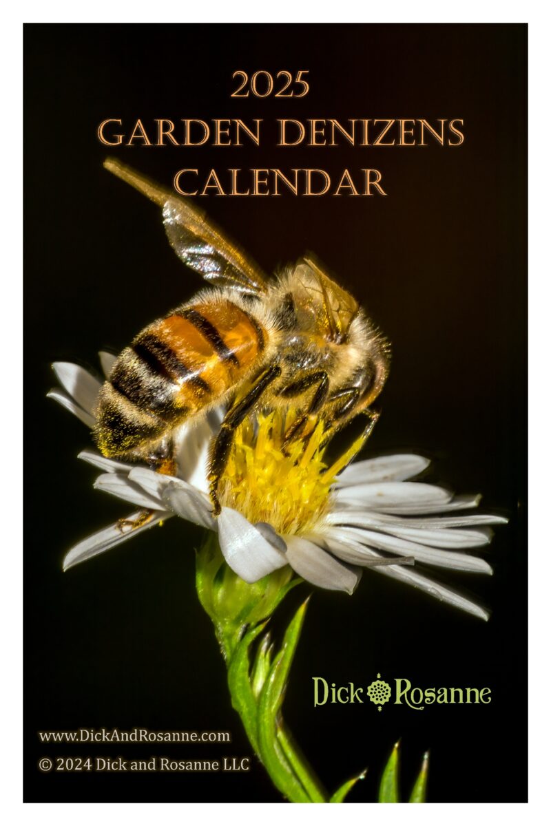 2025 Garden Denizens Calendar