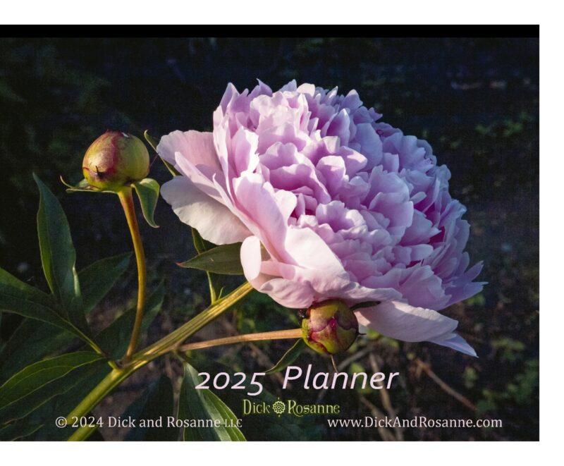 2025 Planner