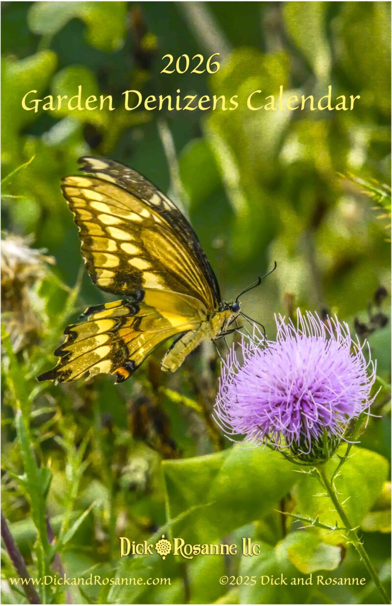 2026 Garden Denizens Calendar