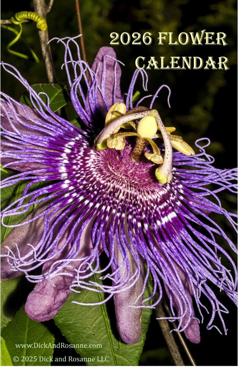 2026 Flowers Calendar