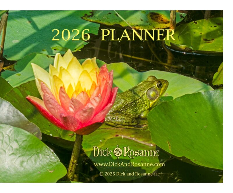 2026 Planner