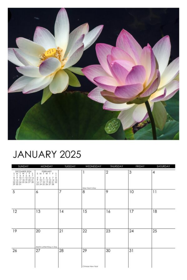 2025 Lotus Calendar - Image 2