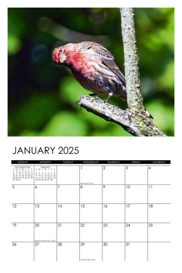 2025 Garden Denizens Calendar - Image 2
