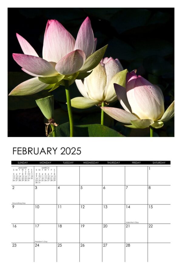2025 Lotus Calendar - Image 3