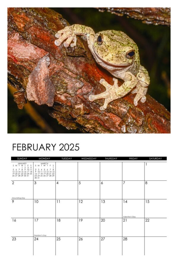2025 Garden Denizens Calendar - Image 3