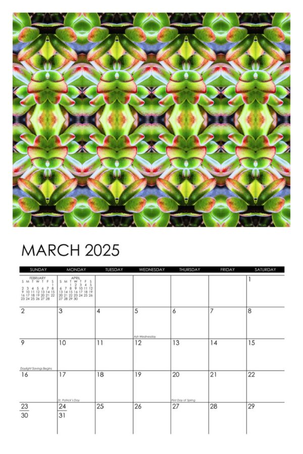 2025 Reflections Calendar - Image 4