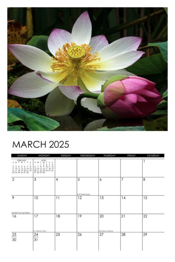 2025 Lotus Calendar - Image 4