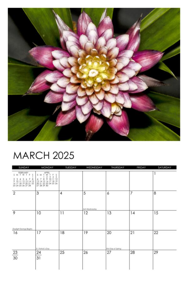 2025 Flowers Calendar - Image 4