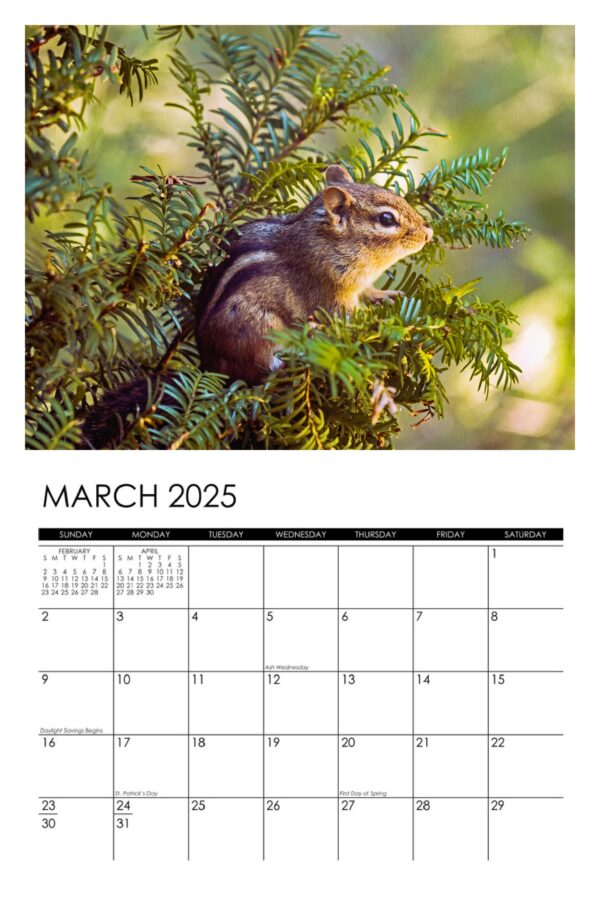 2025 Garden Denizens Calendar - Image 4