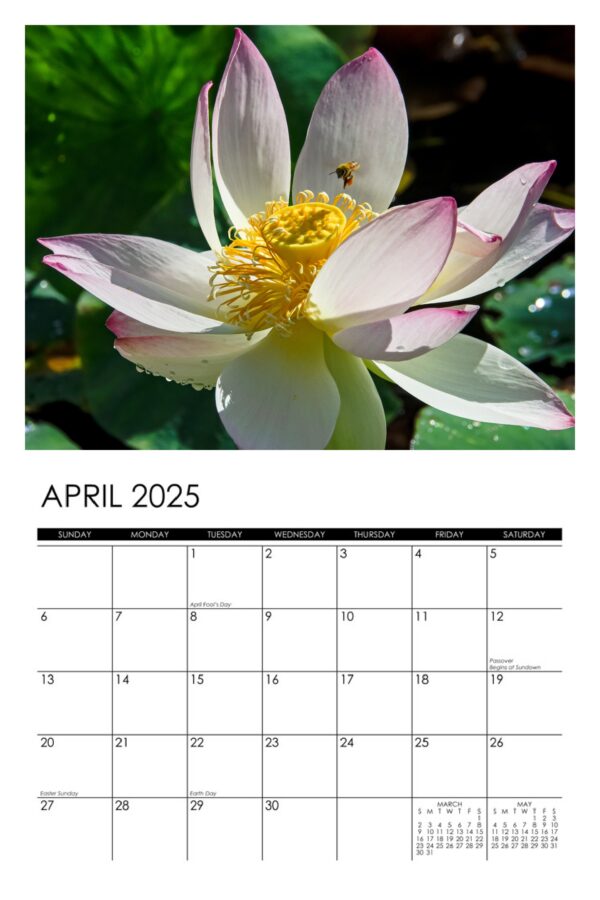 2025 Lotus Calendar - Image 5