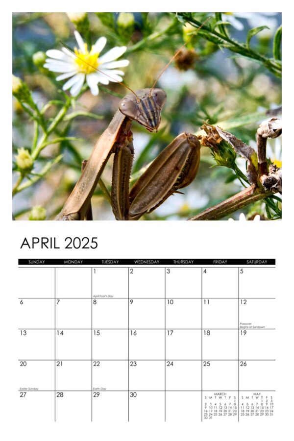 2025 Garden Denizens Calendar - Image 5
