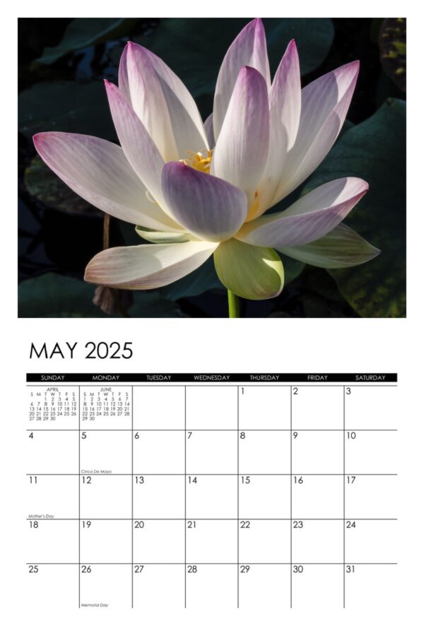 2025 Lotus Calendar - Image 6