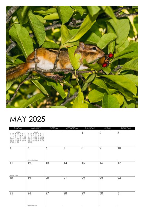 2025 Garden Denizens Calendar - Image 6