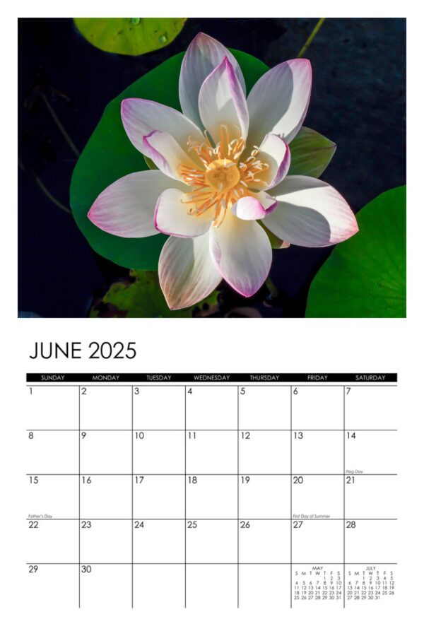 2025 Lotus Calendar - Image 7