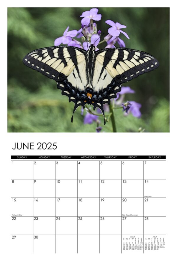 2025 Garden Denizens Calendar - Image 7