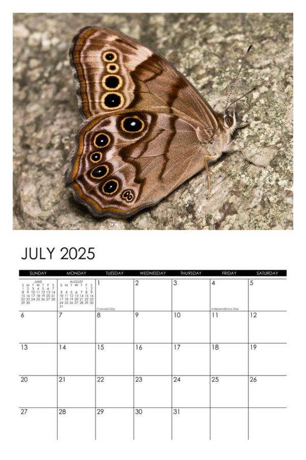 2025 Garden Denizens Calendar - Image 8