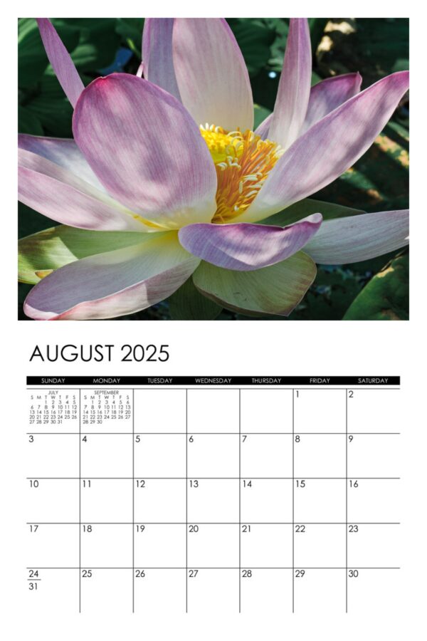 2025 Lotus Calendar - Image 9