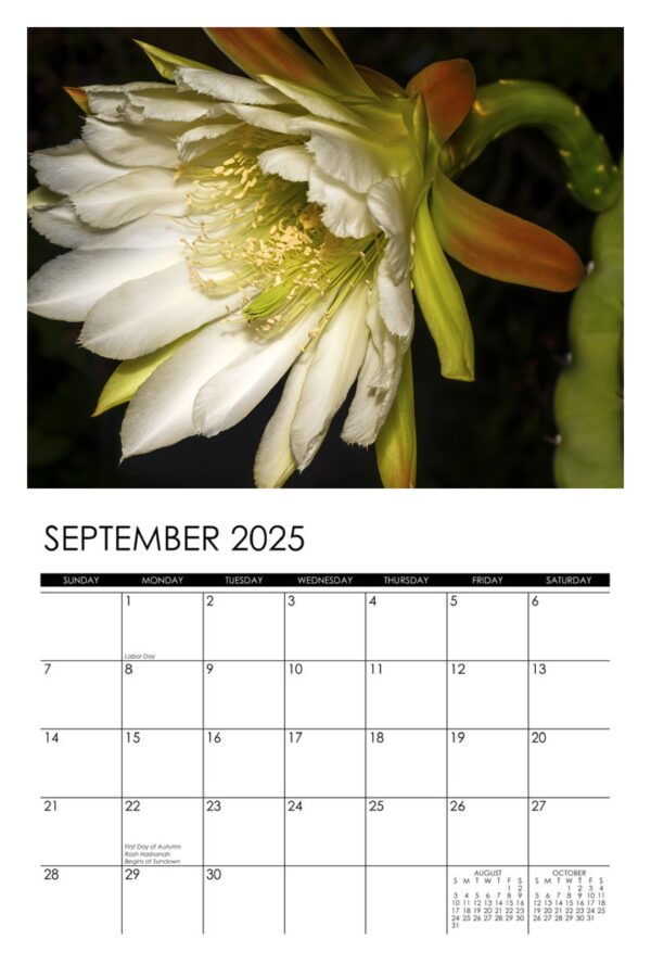 2025 Flowers Calendar - Image 10