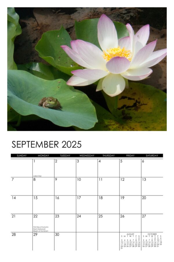 2025 Garden Denizens Calendar - Image 10