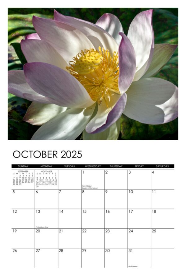 2025 Lotus Calendar - Image 11