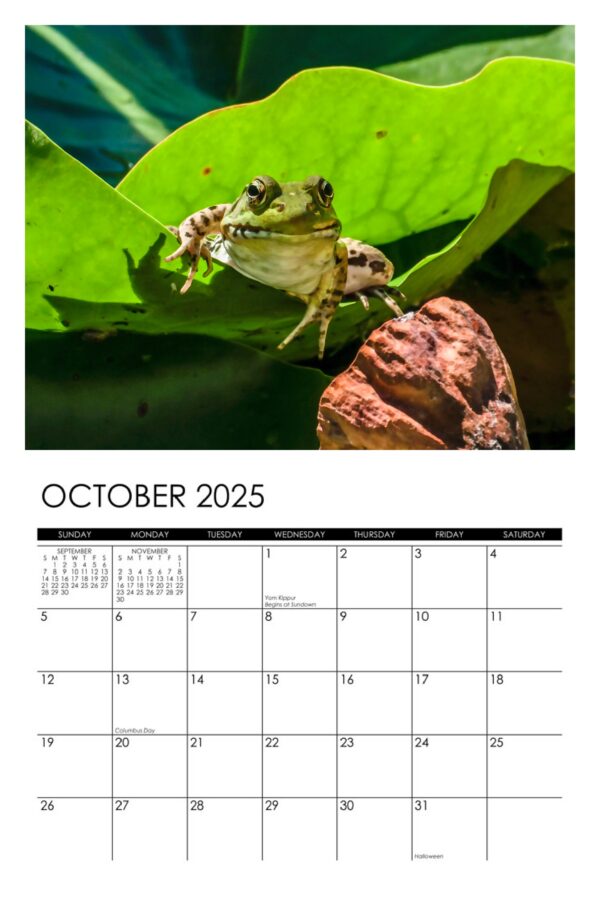 2025 Garden Denizens Calendar - Image 11