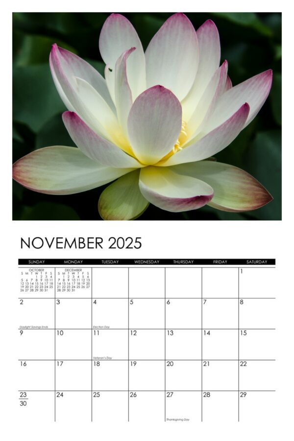 2025 Lotus Calendar - Image 12
