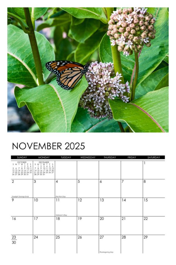 2025 Garden Denizens Calendar - Image 12