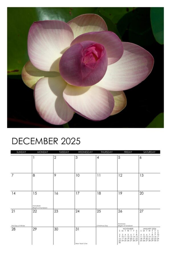 2025 Lotus Calendar - Image 13