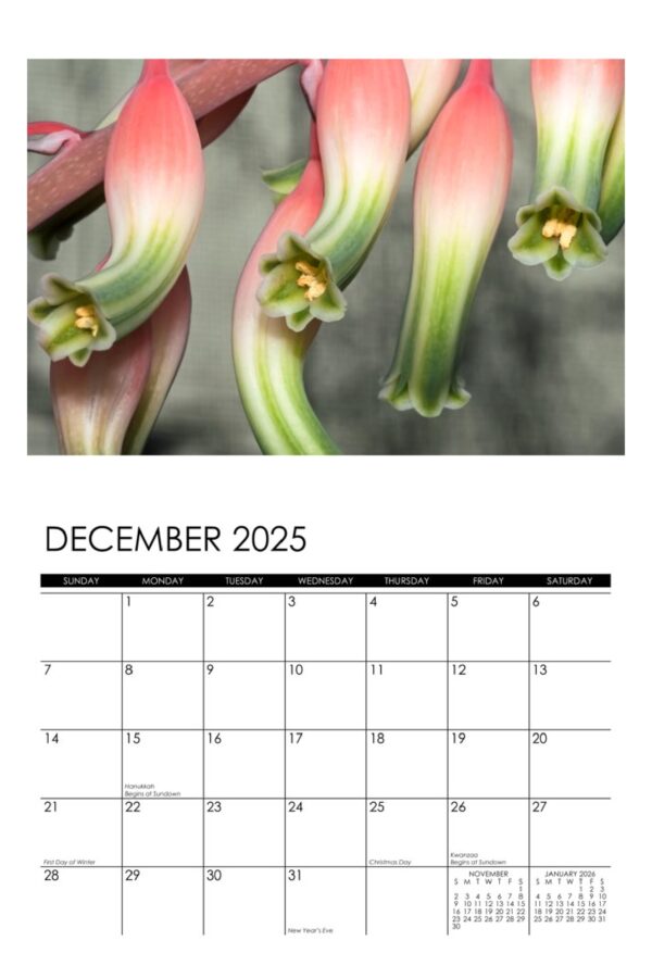2025 Flowers Calendar - Image 13
