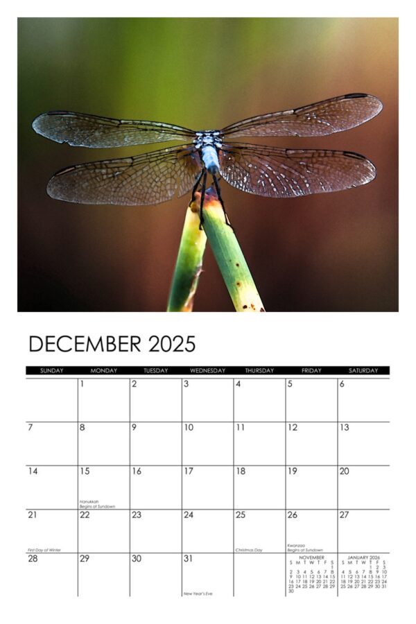 2025 Garden Denizens Calendar - Image 13
