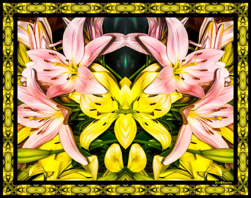 Pink and Yellow Lilies