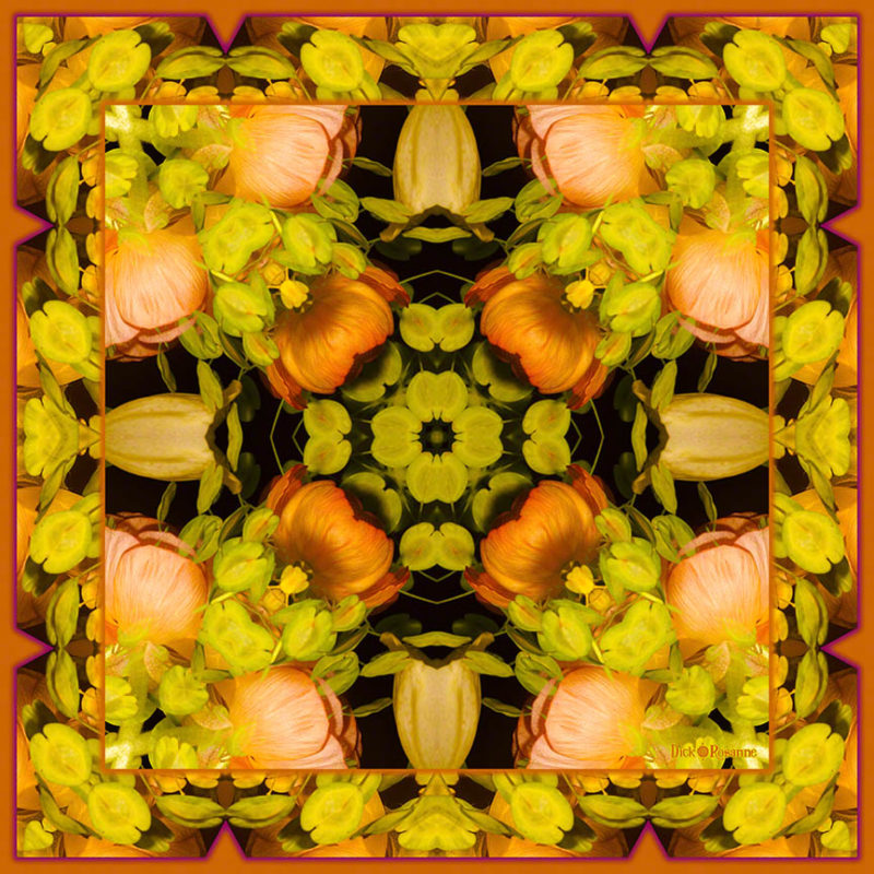 Creamsicle Delights